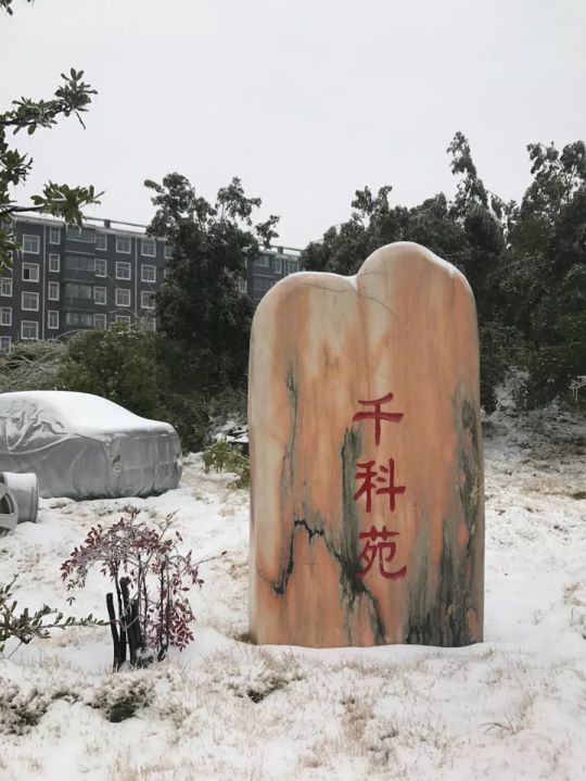 千科潘遠宏：智能產品、智慧營銷一手抓，智能終端是品牌最后浪潮