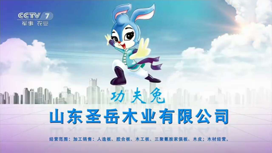 品牌榮譽(yù)|祝賀功夫兔板材獲“2018中國(guó)板材十大品牌”稱號(hào)