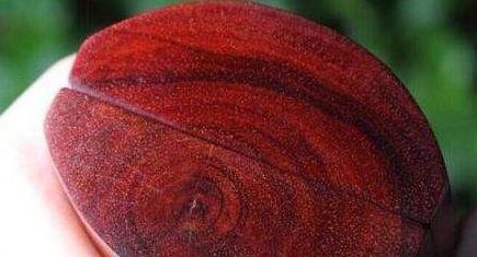 紅木家具中的小葉紫檀大葉紫檀，一字之差，二者有何不同？