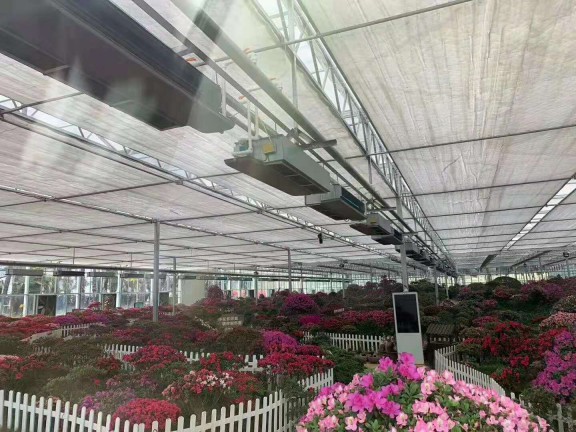 岳西大觀園12000㎡花卉大棚采用格美粵空氣源熱泵，三年無故障運行