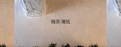 森尼迪克藝術(shù)涂料攜帶150年的浪漫品牌，來到中國誠招加盟