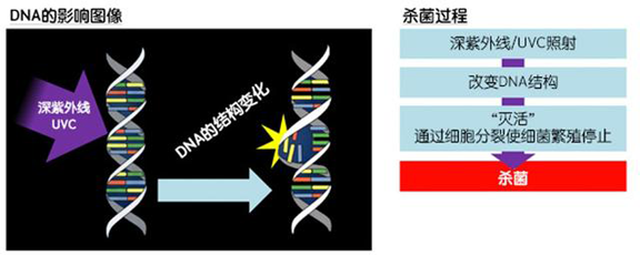 消費(fèi)者開(kāi)始關(guān)注到車載空氣凈化器，原來(lái)如此重要