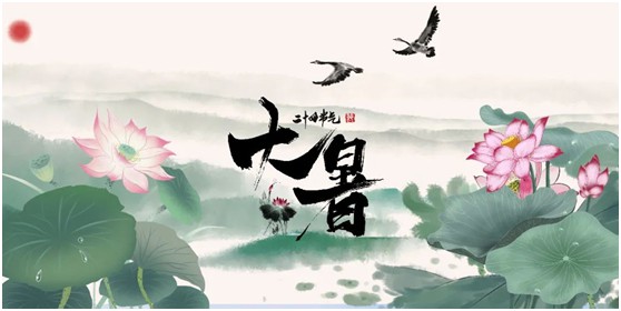 【大暑】將軍板材：炎炎夏日，一份家居清涼指南請查收